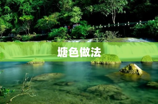 塘色做法:传统美食的独特魅力 塘色做法:传统美食的独特魅力
