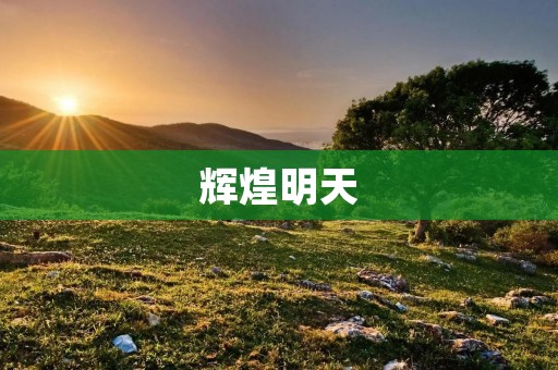 辉煌明天：中国的创新驱动之路