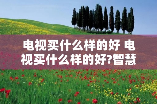 电视买什么样的好 电视买什么样的好?智慧屏还是智能电视?