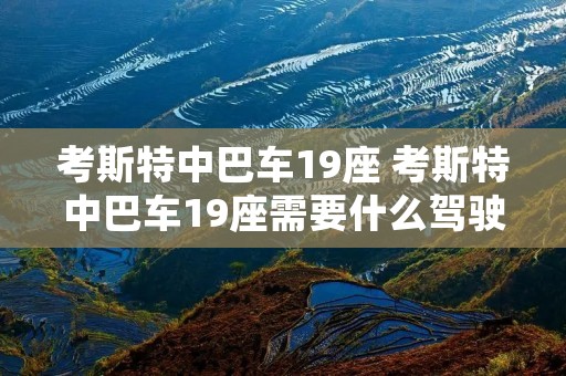 考斯特中巴车19座 考斯特中巴车19座需要什么驾驶证
