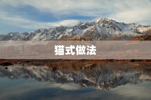 猫式做法:提高效率的新方式 猫式做法:提高效率的新方式
