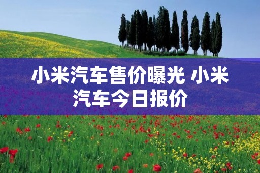小米汽车售价曝光 小米汽车今日报价 小米汽车售价曝光 小米汽车今日报价