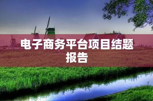 电子商务平台项目结题报告