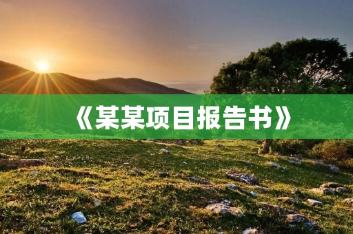 《某某项目报告书》