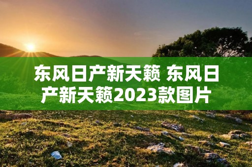 东风日产新天籁 东风日产新天籁2023款图片 东风日产新天籁 东风日产新天籁2023款图片
