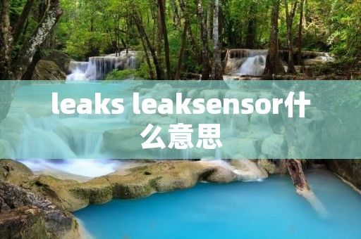 leaks leaksensor什么意思