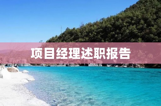 项目经理述职报告:在项目管理中的角色与责任