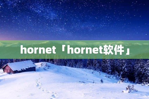 hornet「hornet软件」