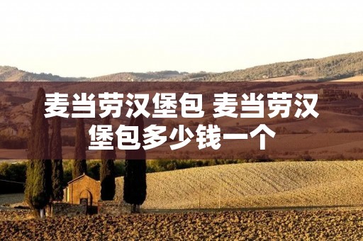 麦当劳汉堡包 麦当劳汉堡包多少钱一个
