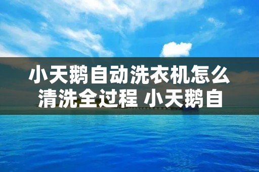 小天鹅自动洗衣机怎么清洗全过程 小天鹅自动洗衣机怎么清洗全过程视频 小天鹅自动洗衣机怎么清洗全过程 小天鹅自动洗衣机怎么清洗全过程视频