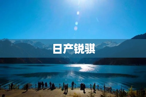 日产锐骐:为你而来的实力之选 日产锐骐:为你而来的实力之选