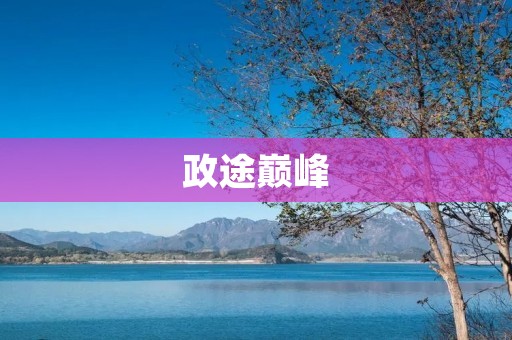 政途巅峰:如何在政治竞争中脱颖而出
