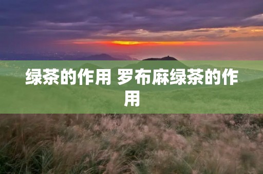 绿茶的作用 罗布麻绿茶的作用