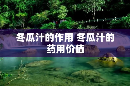 冬瓜汁的作用 冬瓜汁的药用价值 冬瓜汁的作用 冬瓜汁的药用价值