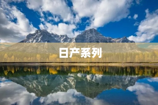 日产系列:为您带来无限驾驶乐趣 日产系列:为您带来无限驾驶乐趣