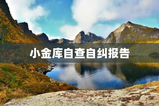 小金库自查自纠报告:深入反思,发现问题,加强管理