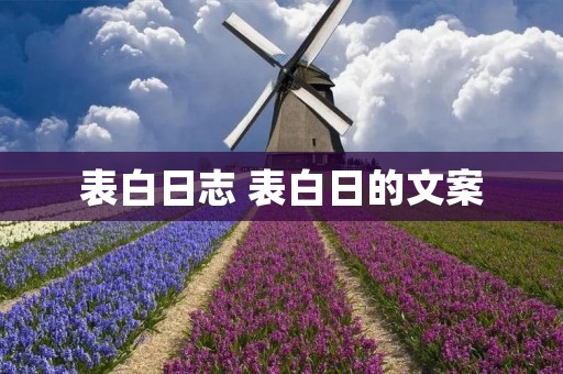 表白日志 表白日的文案