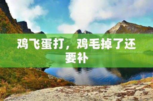 鸡飞蛋打,鸡毛掉了还要补