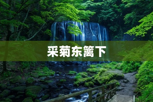 采菊东篱下:诗意的人生之旅