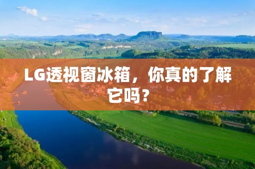 LG透视窗冰箱,你真的了解它吗? LG透视窗冰箱,你真的了解它吗?