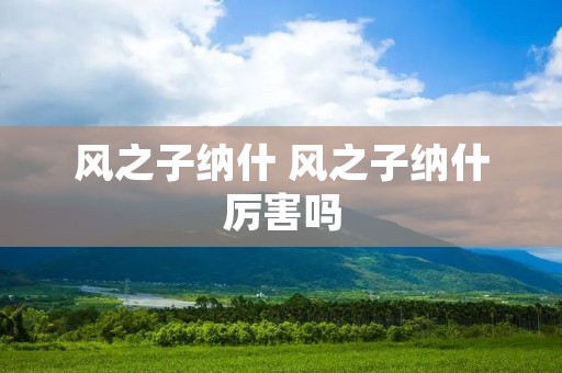 风之子纳什 风之子纳什厉害吗