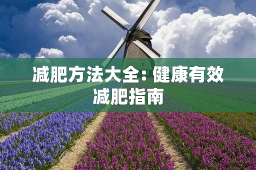 减肥方法大全: 健康有效减肥指南 减肥方法大全: 健康有效减肥指南