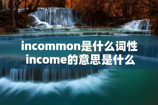 incommon是什么词性 income的意思是什么