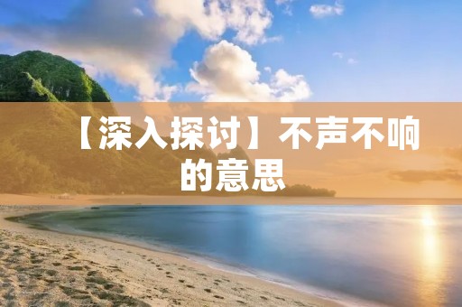 【深入探讨】不声不响的意思