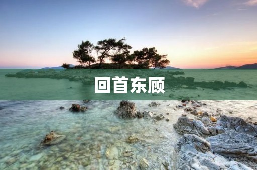 回首东顾:一场时光旅行 回首东顾:一场时光旅行