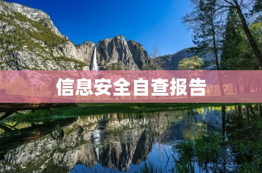 信息安全自查报告
