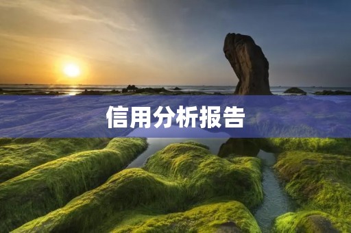 信用分析报告:揭示企业真实信用状况
