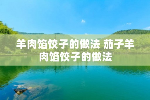 羊肉馅饺子的做法 茄子羊肉馅饺子的做法