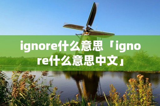 ignore什么意思「ignore什么意思中文」