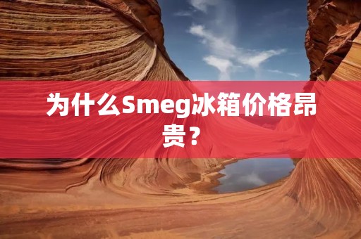 为什么Smeg冰箱价格昂贵? 为什么Smeg冰箱价格昂贵?