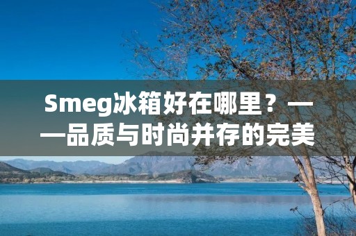 Smeg冰箱好在哪里？——品质与时尚并存的完美结合