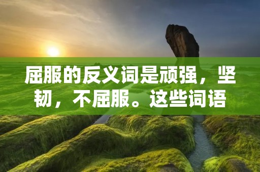 屈服的反义词是顽强，坚韧，不屈服。这些词语代表着一个人在面对挑战和困难时，不会轻易放弃，而是会坚持不懈地去追求自己的目标和理想。