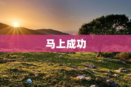 马上成功：马的成语