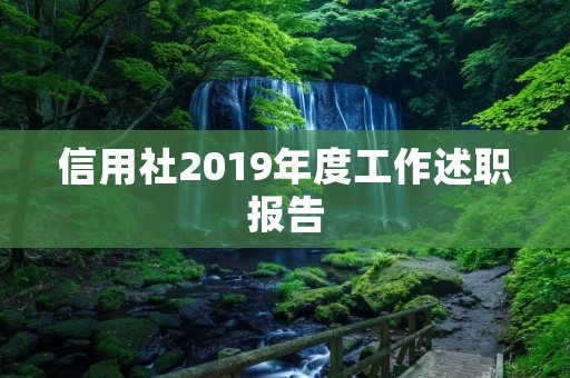 信用社2019年度工作述职报告
