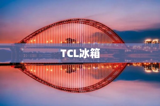 TCL冰箱：品质保证的产地揭秘