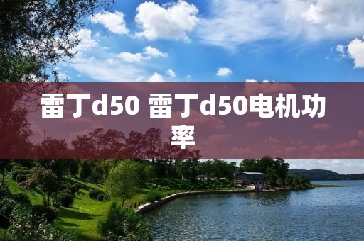 雷丁d50 雷丁d50电机功率
