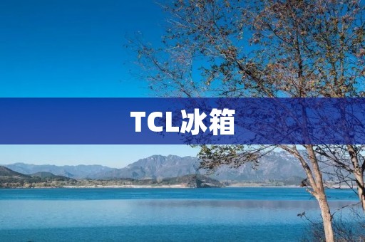 TCL冰箱：一个值得信赖的品牌