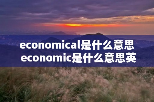 economical是什么意思 economic是什么意思英语翻译