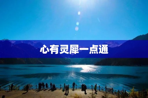 心有灵犀一点通：探寻人与人之间的默契
