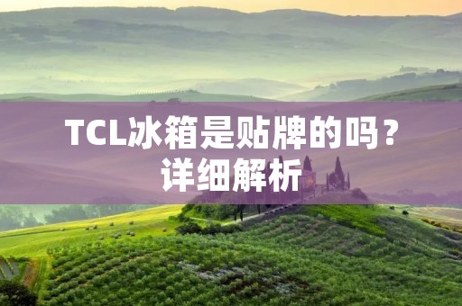 TCL冰箱是贴牌的吗?详细解析 TCL冰箱是贴牌的吗?详细解析
