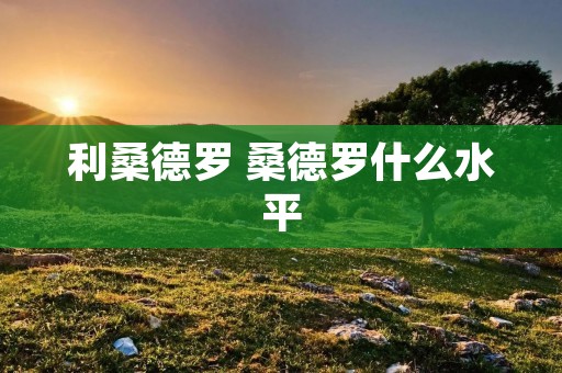 利桑德罗 桑德罗什么水平