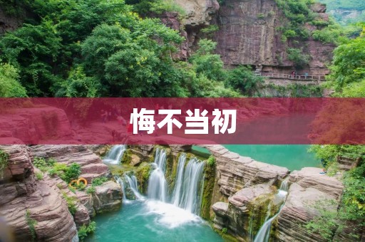 悔不当初:如果我能重来一次 悔不当初:如果我能重来一次