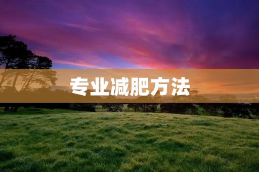 专业减肥方法:科学瘦身,健康迈向美好生活 专业减肥方法:科学瘦身,健康迈向美好生活
