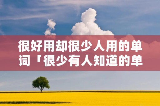 很好用却很少人用的单词「很少有人知道的单词」