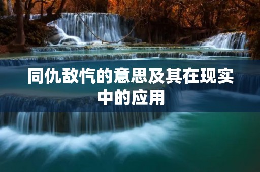 同仇敌忾的意思及其在现实中的应用