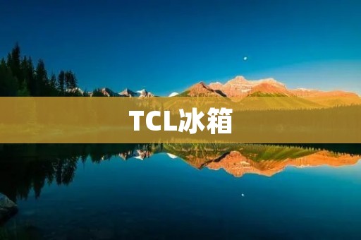 TCL冰箱：一种性价比高的选择